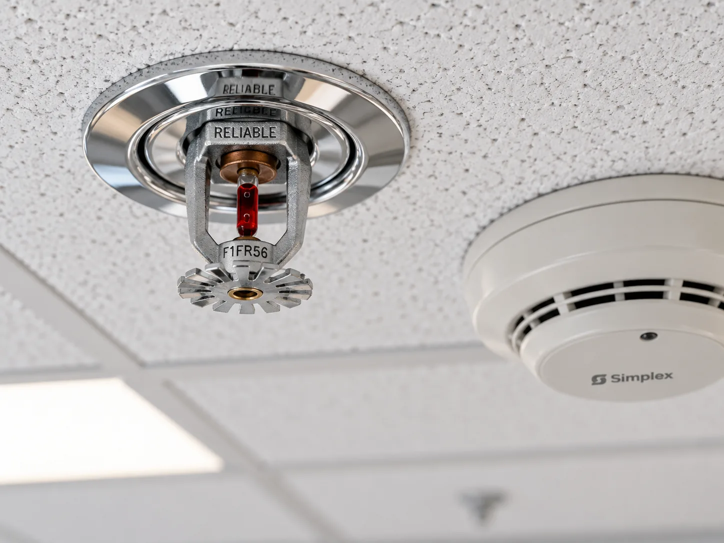 Ceiling-up view of a Reliable Model F1FR56 pendent sprinkler head with a chrome finish and intact glass bulb recessed in a white acoustic ceiling tile, adjacent to a Simplex ceiling smoke detector, with a faint reflection of overhead LED fixtures on the sprinkler frame, illustrating fire sprinkler devices.